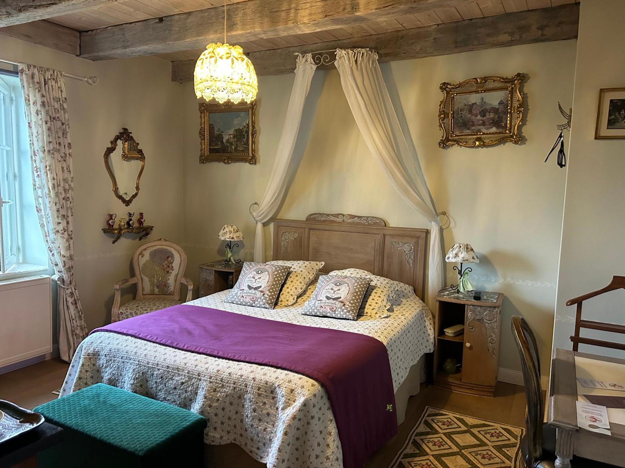 Le Chateau De Failloux 埃皮纳勒 外观 照片